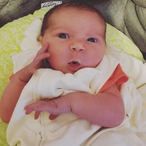 Meet your Posher, Annie